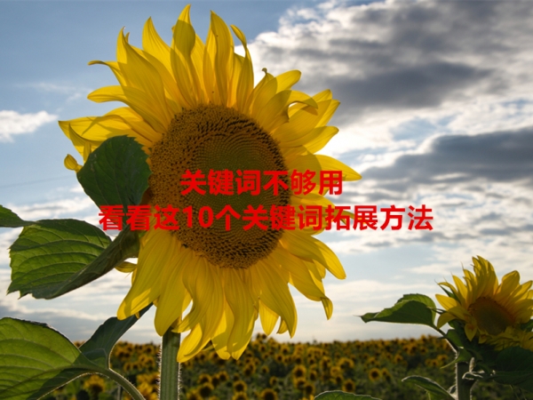 關(guān)鍵詞不夠用，看看這10個關(guān)鍵詞拓展方法！